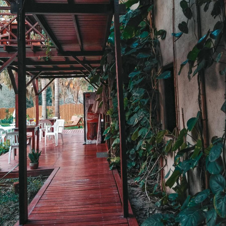 Pinares San Pedro (Buenos Aires)